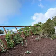 OROZCOGOMEZ LANDSCAPING logo