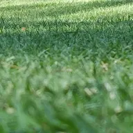 Southern Landcare logo