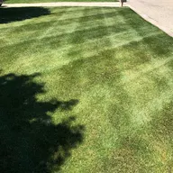 Bailey's Lawn Service LLC logo