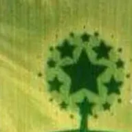 Shining Stars Lawn Tree Service logo