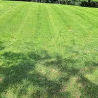 Malovich Lawn Management logo