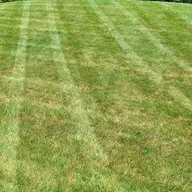 Kuku's lawn & landscape logo