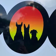 Lawn and Snow Dogs logo