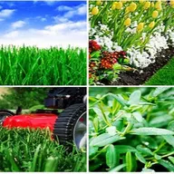 Quick Draw Lawn Service LLC logo