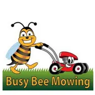 Busy Bee Mowing & Christmas Lighting logo