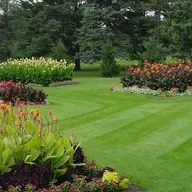 A1 Lawn Care logo