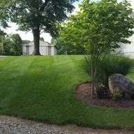 Buckeye Green Lawn & Landscape, LLC logo