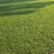 Copperhead lawn care logo
