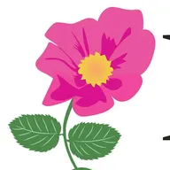 Prairie Rose Lawn & Landscape logo