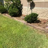 Davis Lawn Care And More logo