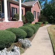 Bright Green Lawn Service logo