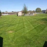 Mikes lawn services logo