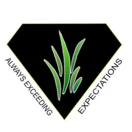 Diamond Cut Lawn & Snow logo