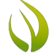 Evergreen Lawn Care logo