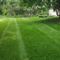 Green Thumb Lawn Care logo